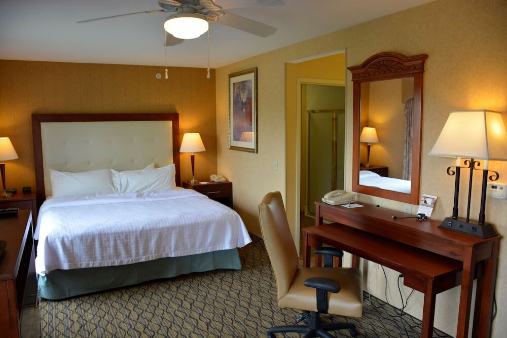 Studio Suite, 1 King Bed with Sofa bed