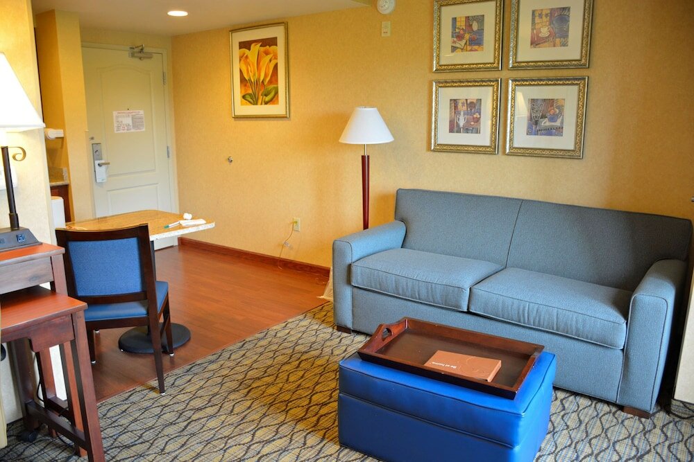 Studio Suite, 1 King Bed with Sofa bed