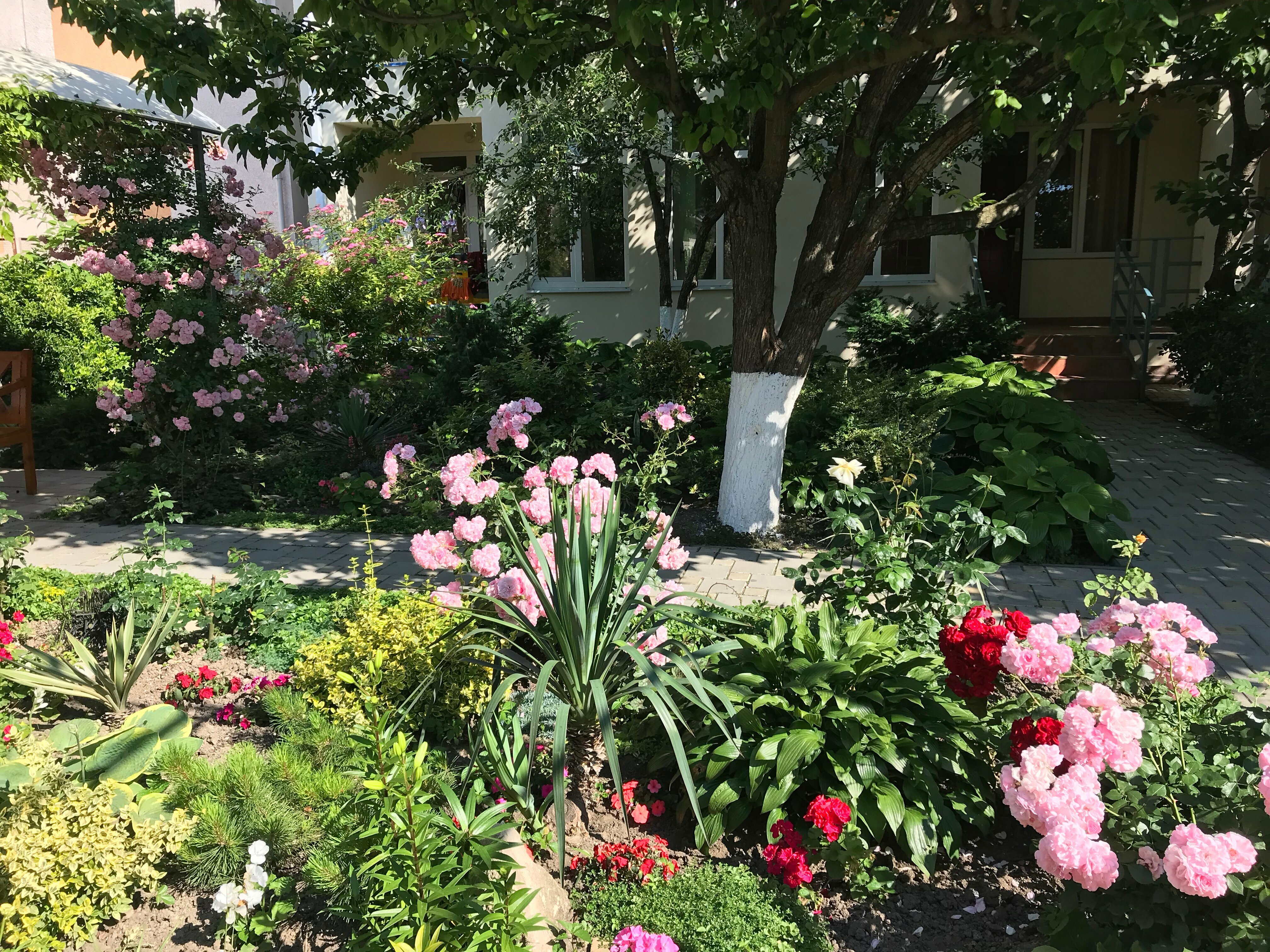 Трехместный номер Делюкс