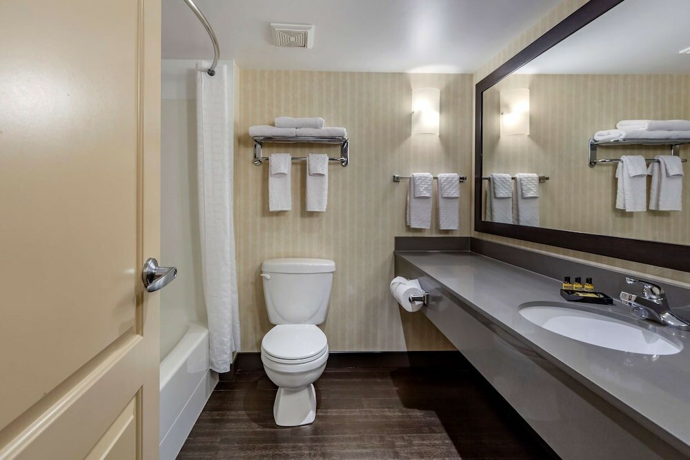 Standard Room, 1 King Bed, Non Smoking, Refrigerator & Microwave