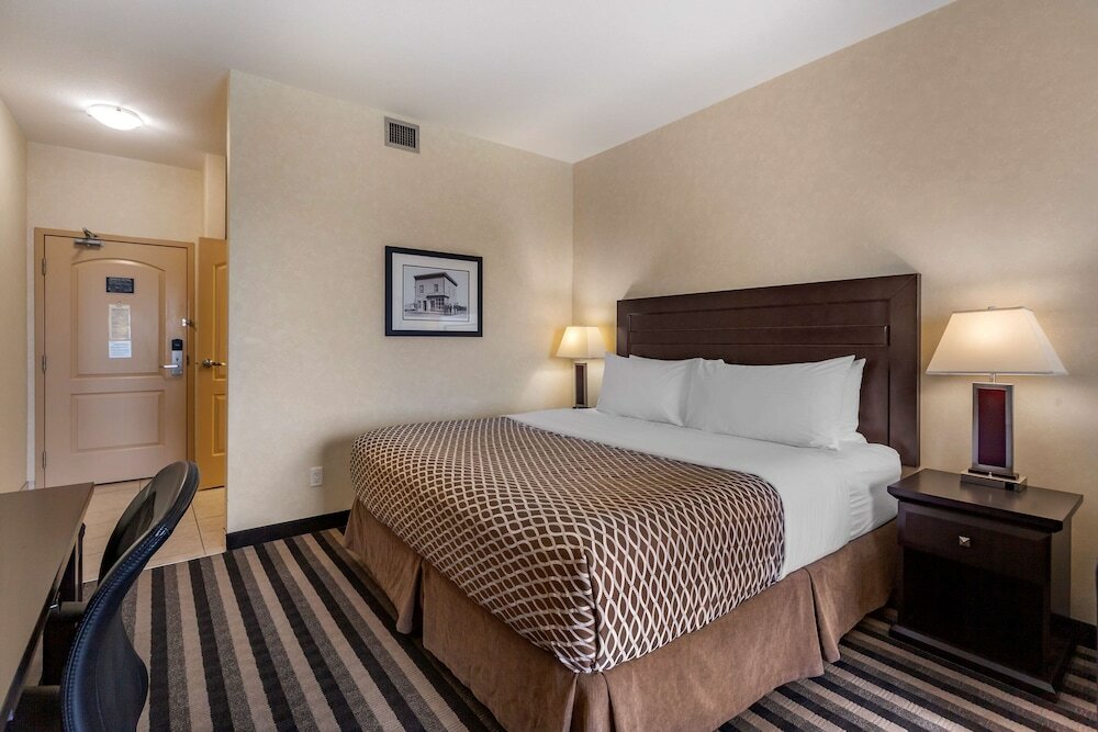 Standard Room, 1 King Bed, Non Smoking, Refrigerator & Microwave