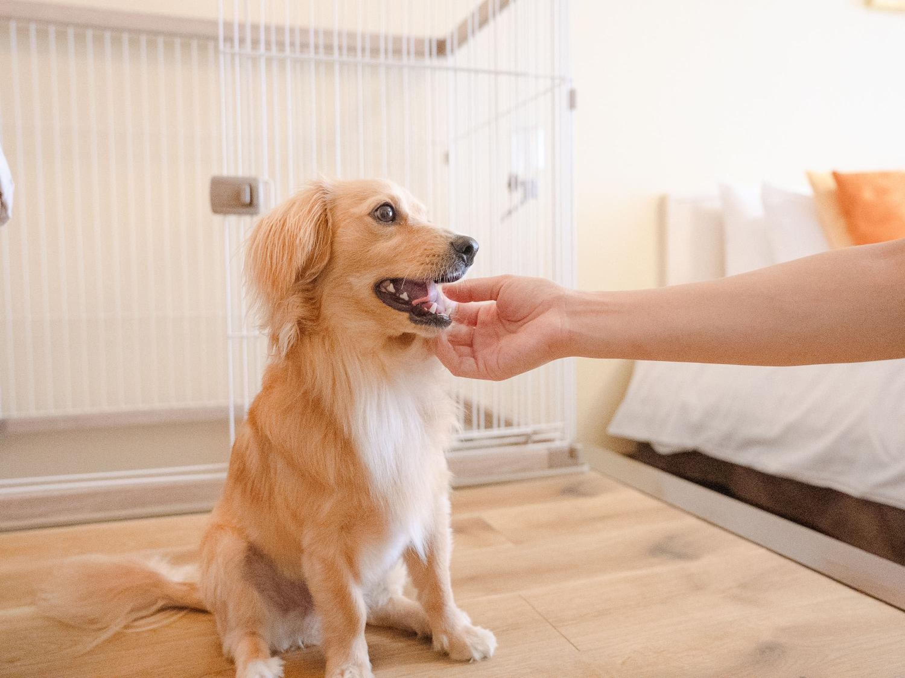 Twin Room with Terrace