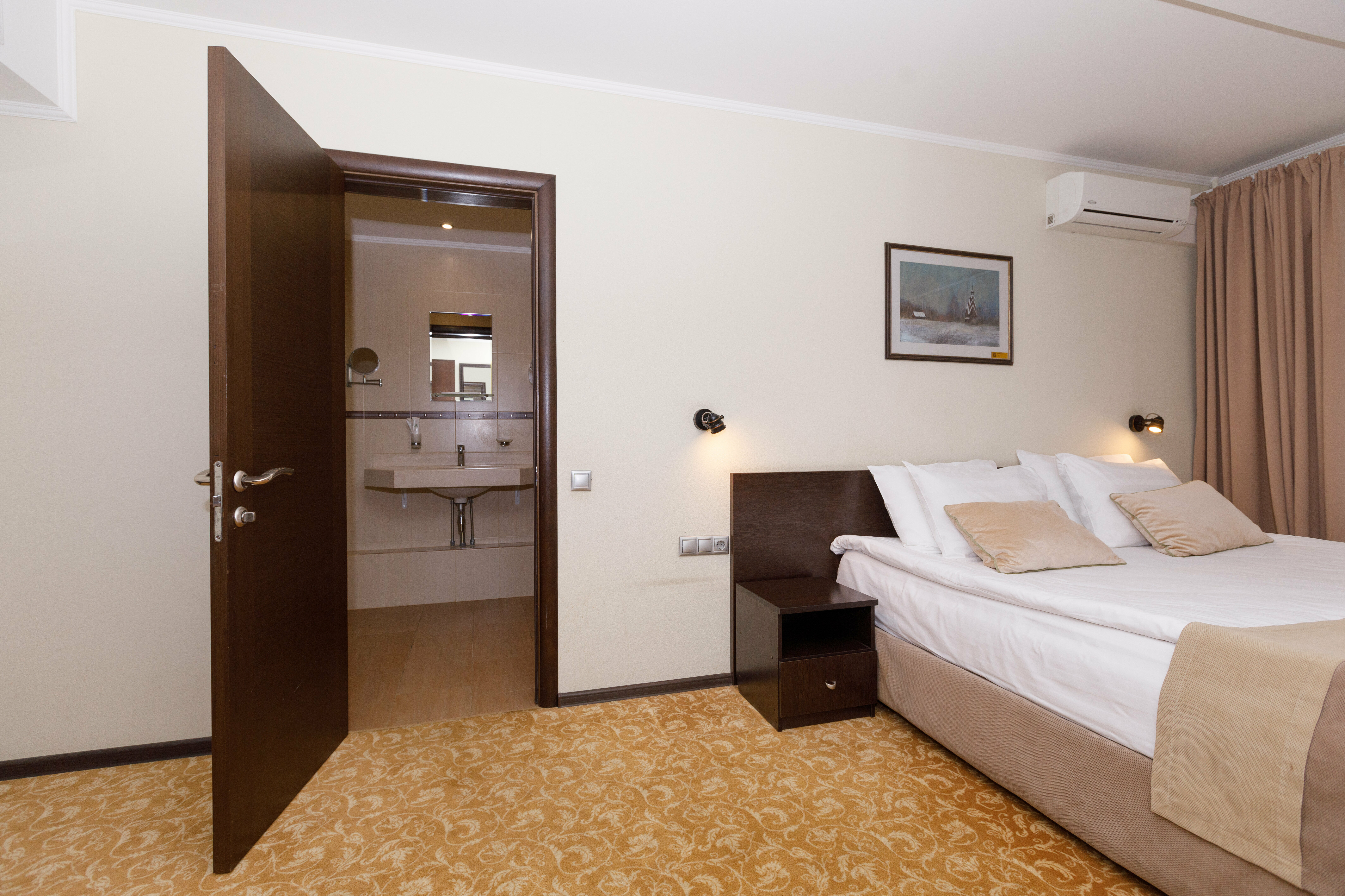 Двухместный номер Делюкс с 1 кроватью