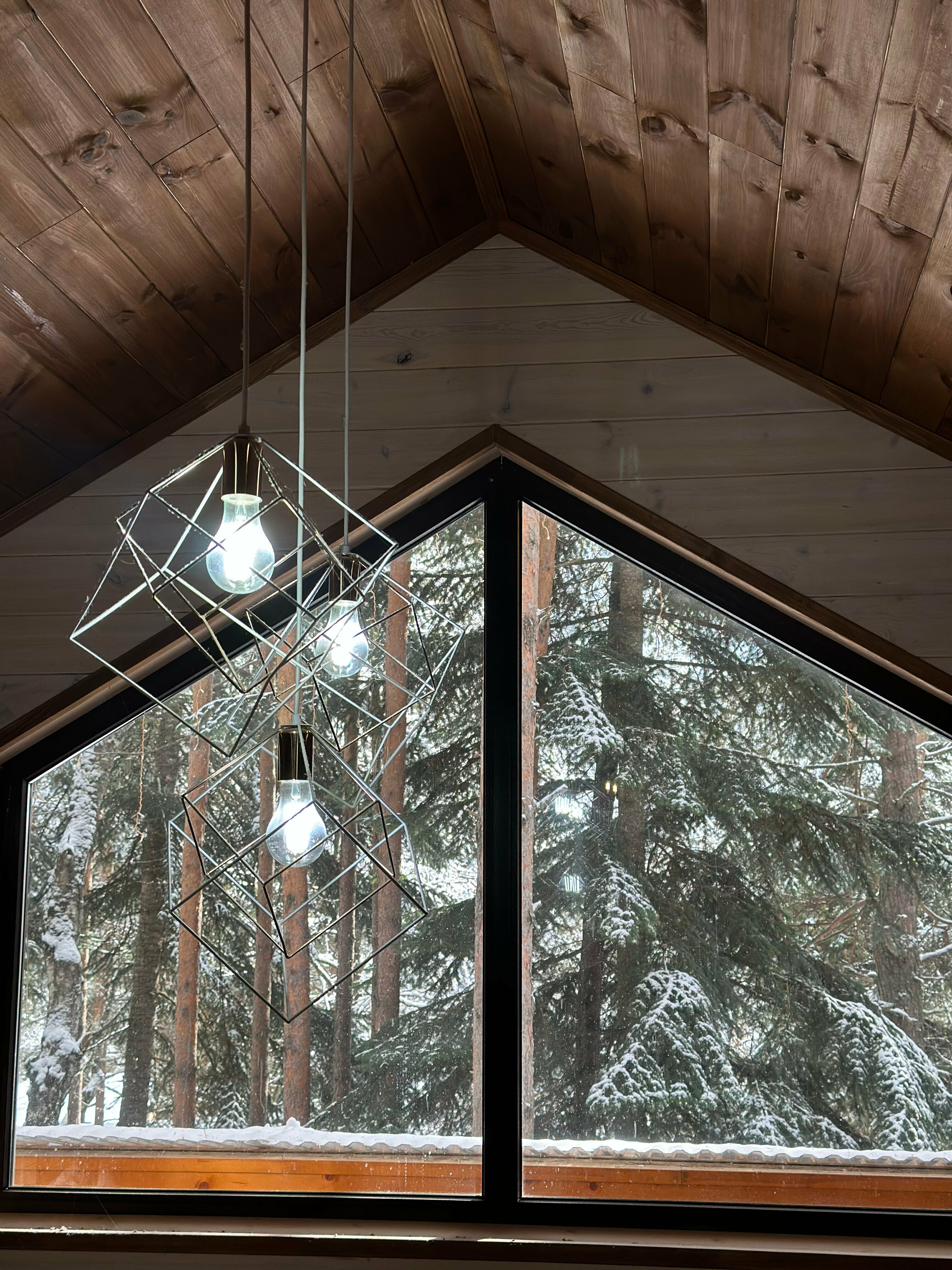 Барнхаус 3 с видом на хвойный лес и горы