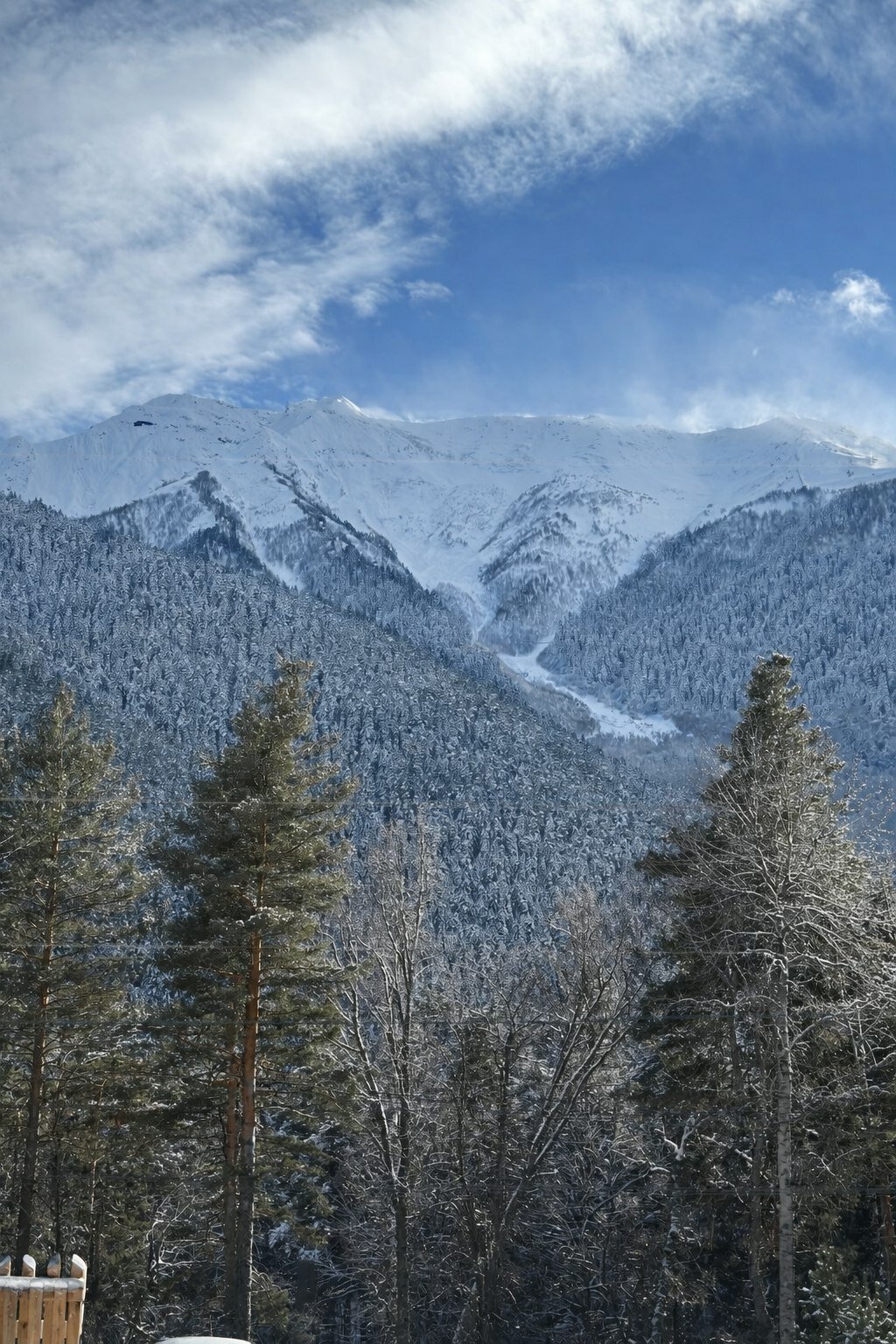 Барнхаус 3 с видом на хвойный лес и горы