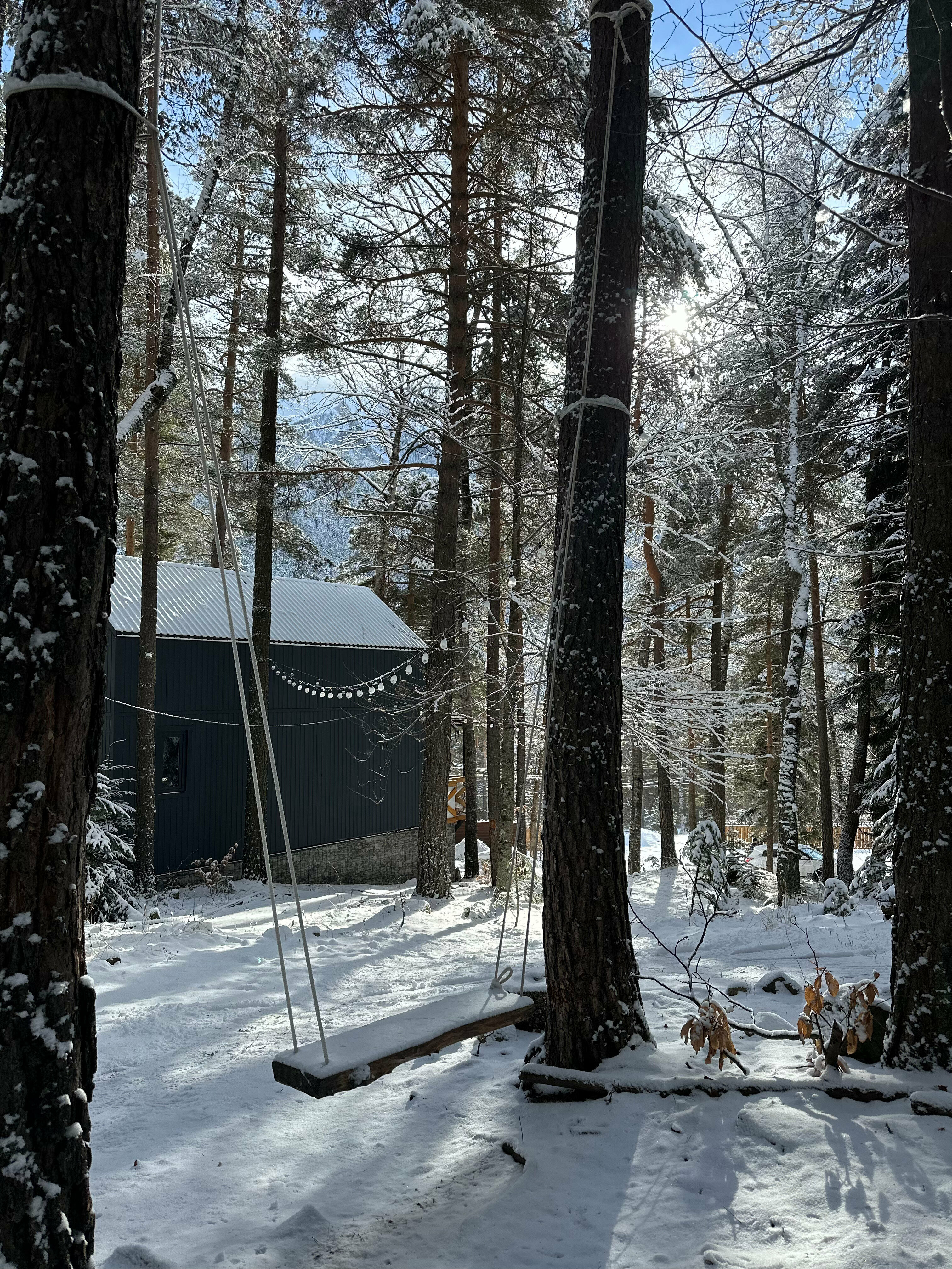 Барнхаус 2 c видом на хвойный лес