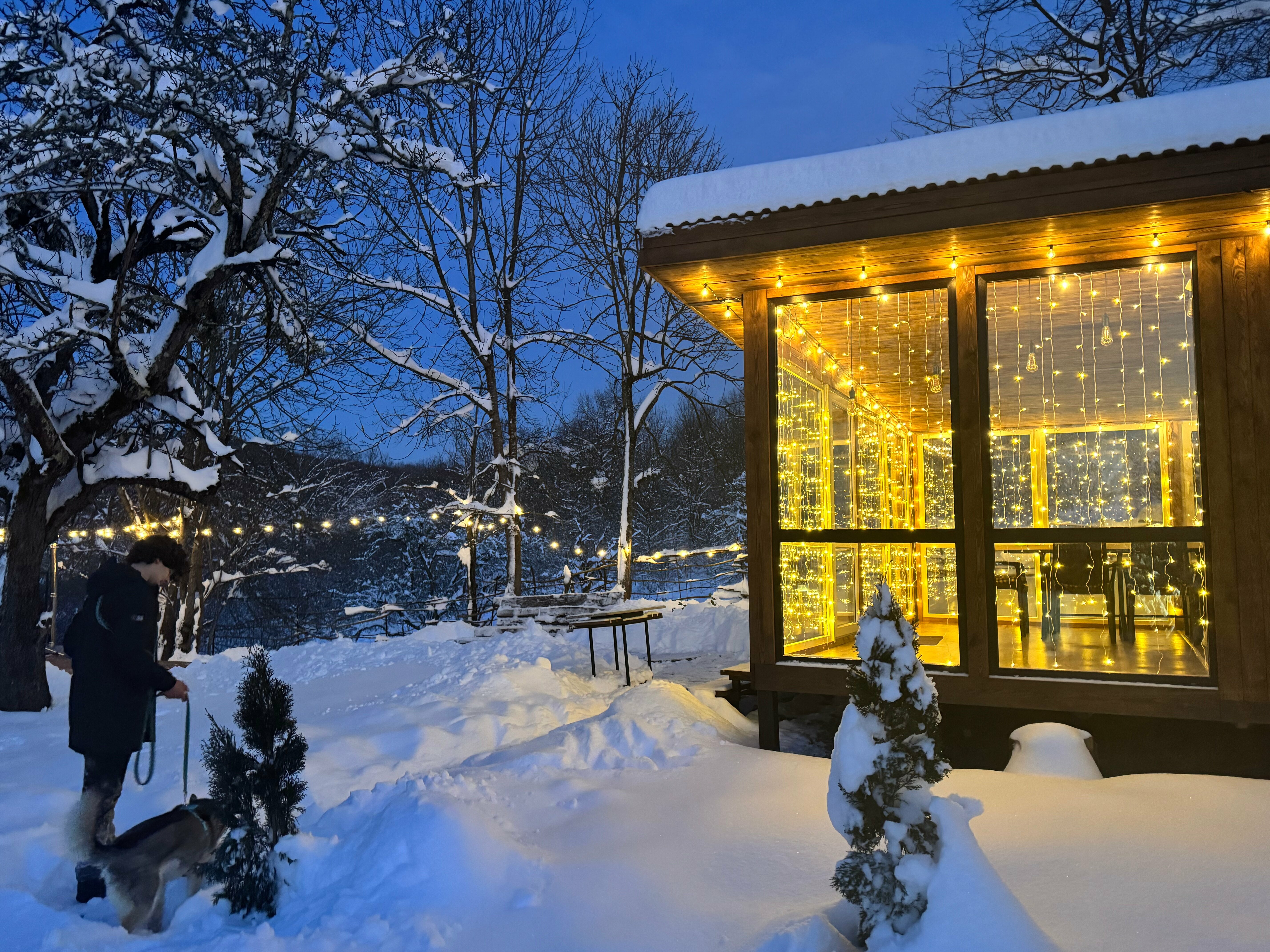 Домик с видом на лес