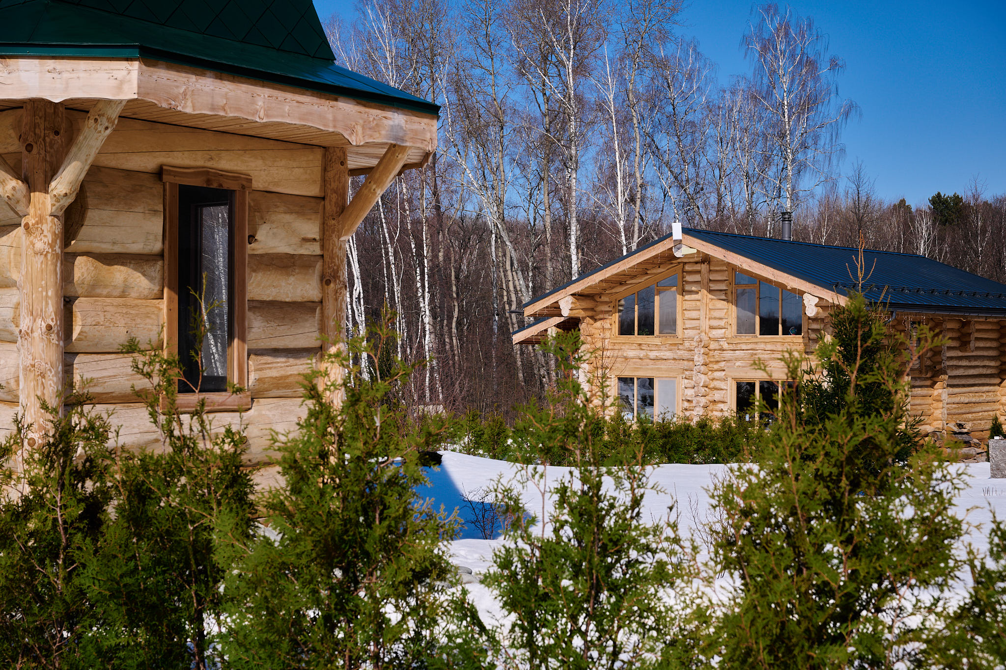 Кедровый дом-сруб "ГЛАВНЫЙ"