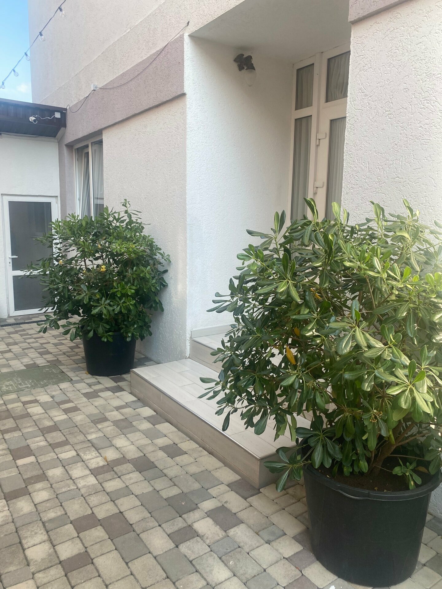 Улучшенный семейный номер