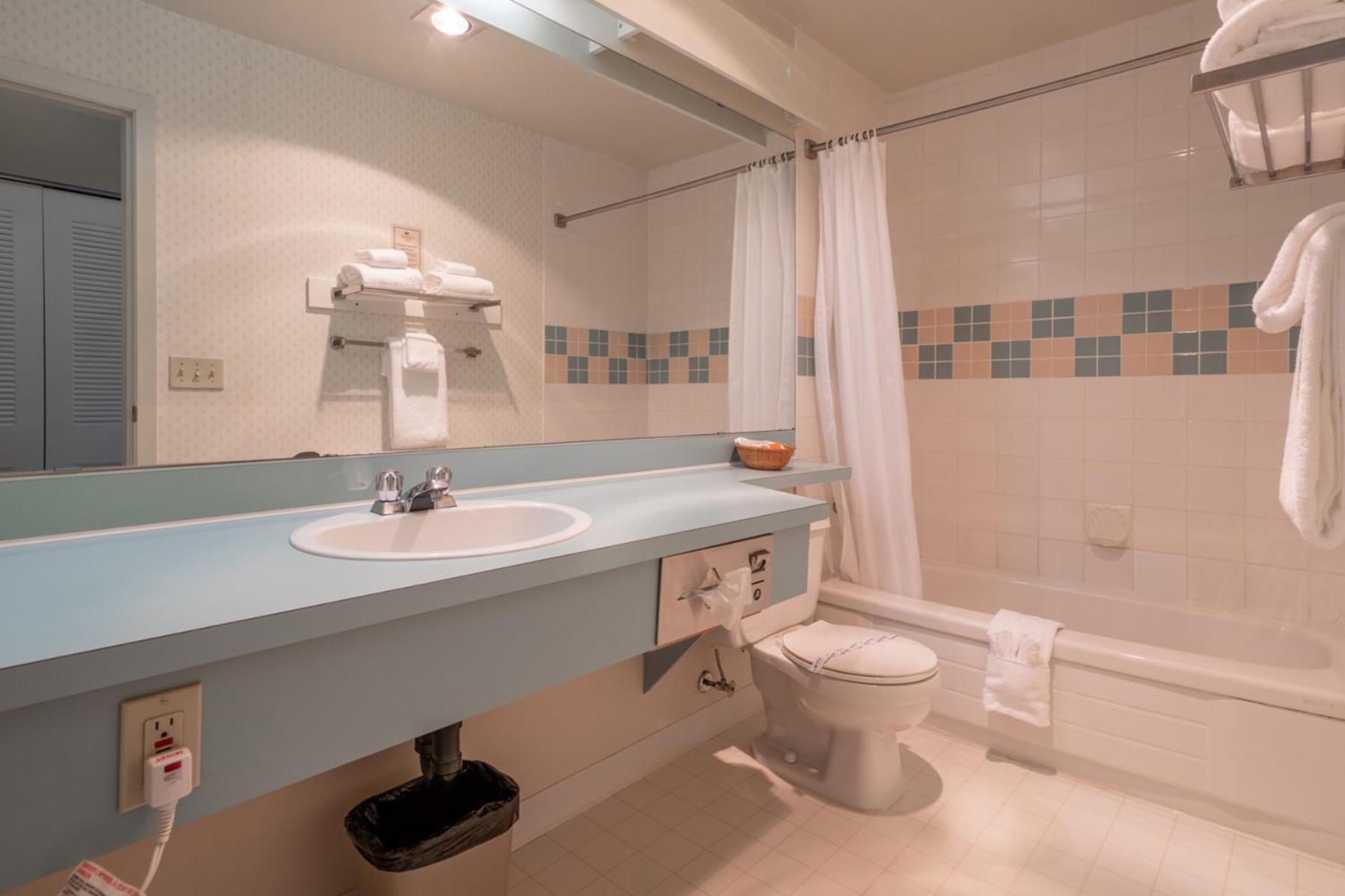 Standard Queen Room (NOT Pet Friendly)