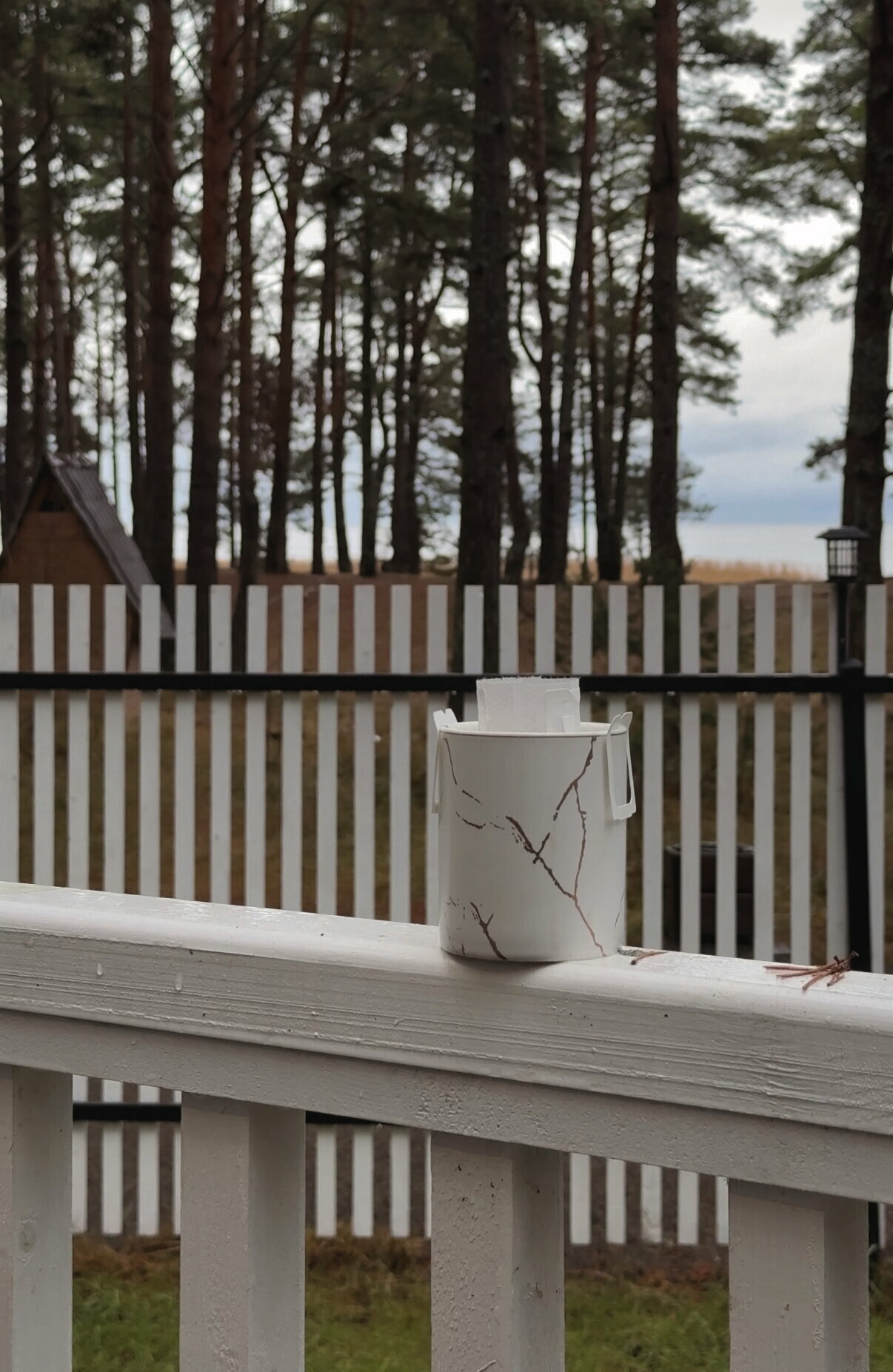 Большой дом Aframe с видом на озеро и лес