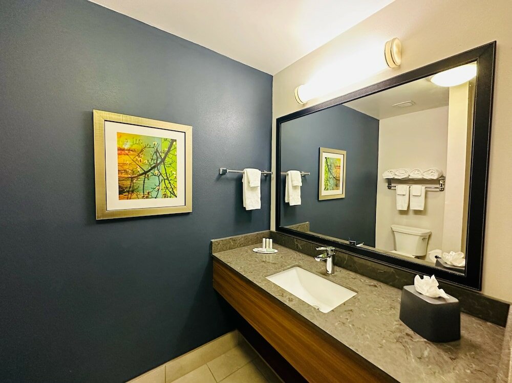 Executive Suite, 1 King Bed with Sofa bed, Non Smoking