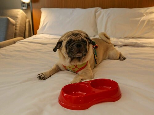 Стандартные апартаменты (1 двуспальная кровать) в ibis Copacabana Posto 2