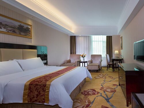 Executive Double Room в Vienna Hotel