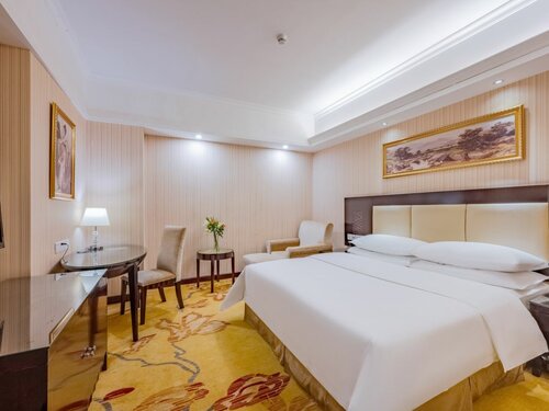 Standard Double Room в Vienna Hotel