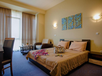 Business Suite Double в Hemus Hotel Sofia