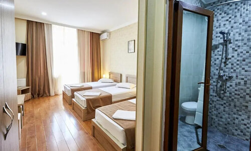 Четырёхместный номер Standard в Hotel Old Borjomi