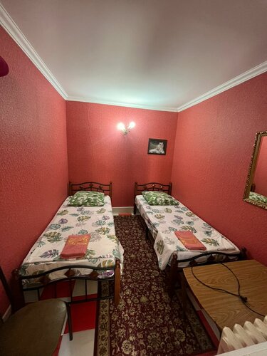 Бюджетный двухместный номер с 2 отдельными кроватями