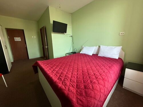 Бюджетный двухместный номер с 1 кроватью в Hotel Советский