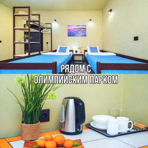 Двухместная студия 1+1