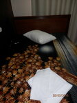 Стандартный одноместный номер в Белые ночи
