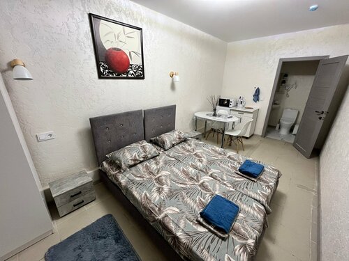 номер студия с мини-кухней