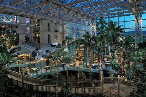 Номер, 1 двуспальная кровать «Кинг-сайз», балкон (Atrium View) в Gaylord Palms Resort & Convention Center