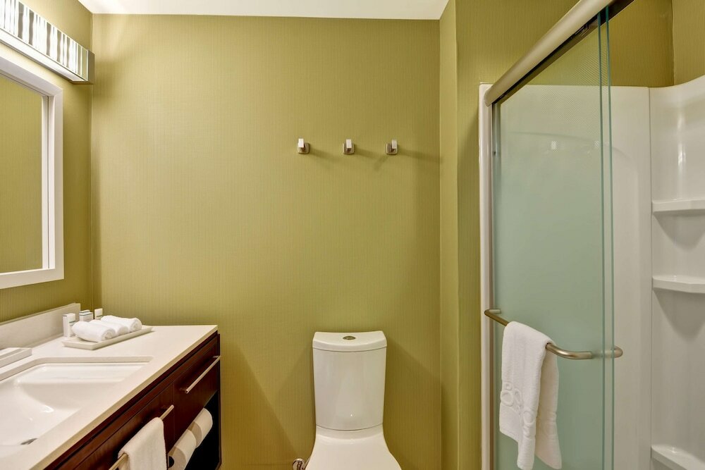 Studio, 1 King Bed, Mountain View