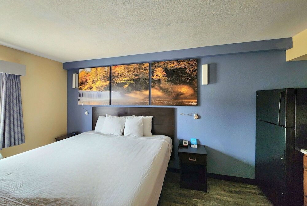 Efficiency, 1 King Bed, Accessible, Kitchenette