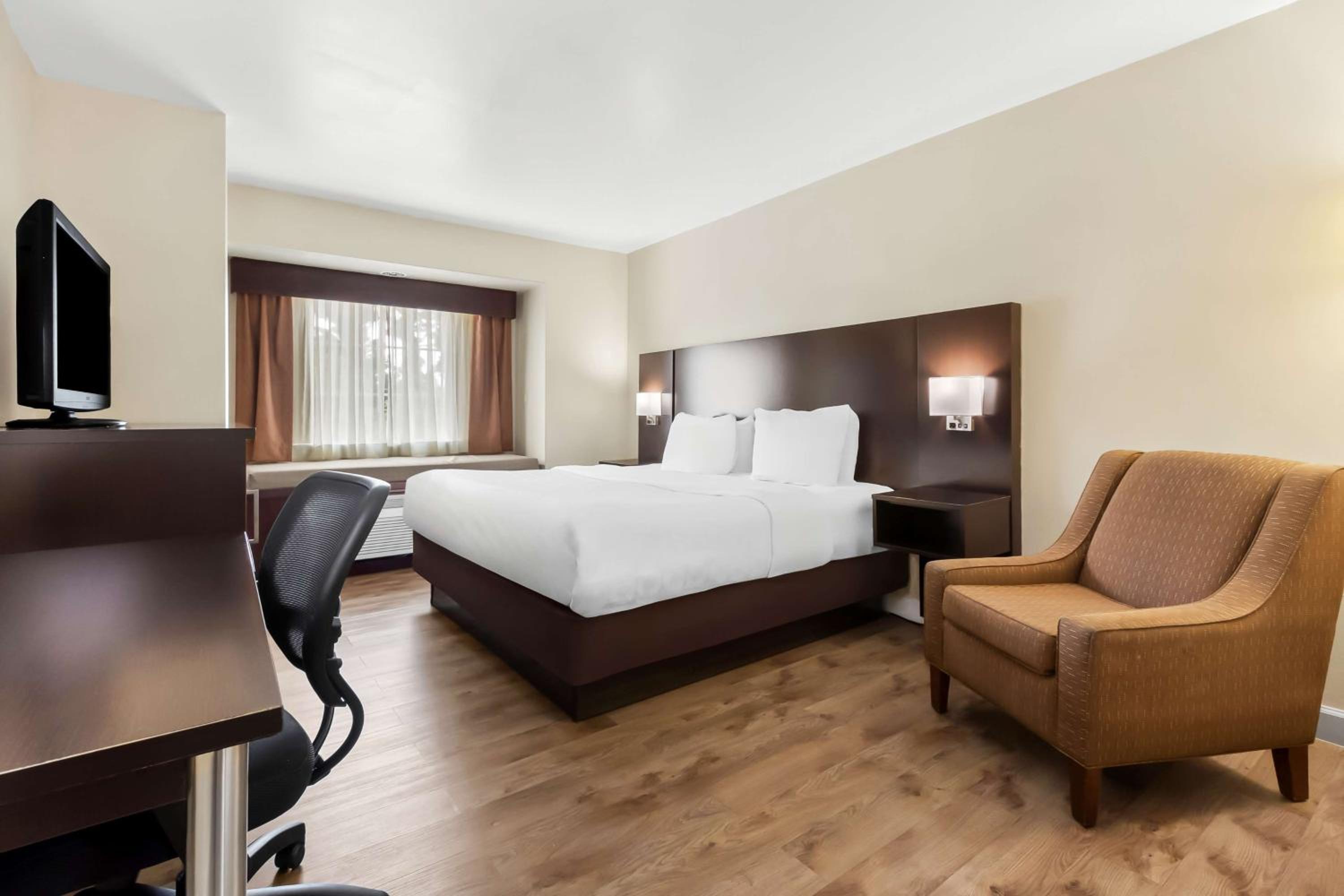 King Room - Non-Smoking