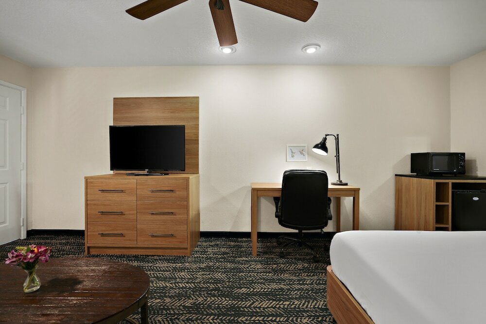 Deluxe Studio, 1 King Bed with Sofa bed, Non Smoking