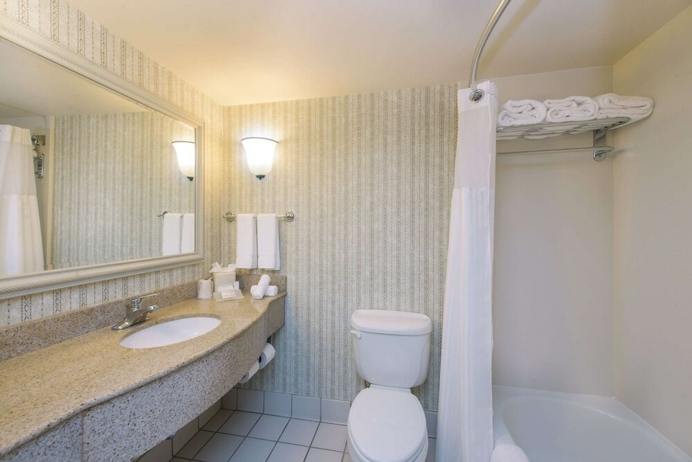 Deluxe Room, 1 King Bed, Accessible