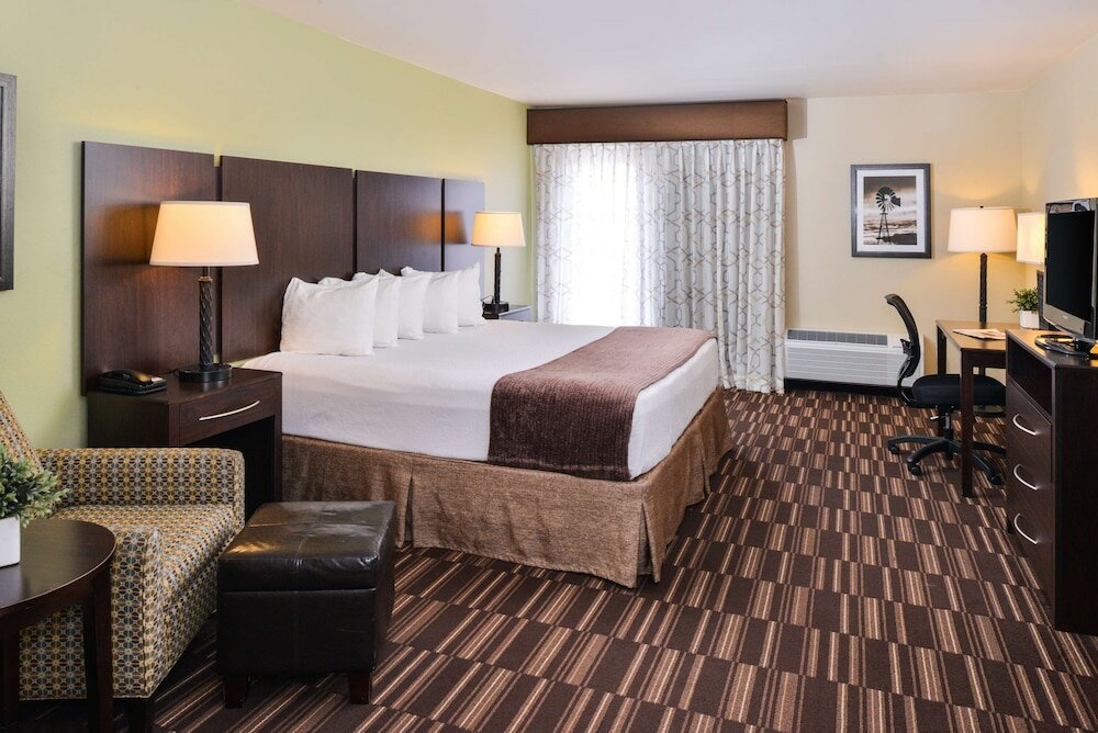 Standard Room, 1 King Bed, Non Smoking, Refrigerator & Microwave (Larger Room)