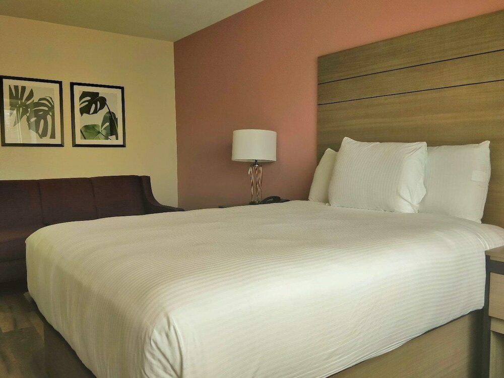 Suite, 1 Queen Bed with Sofa bed