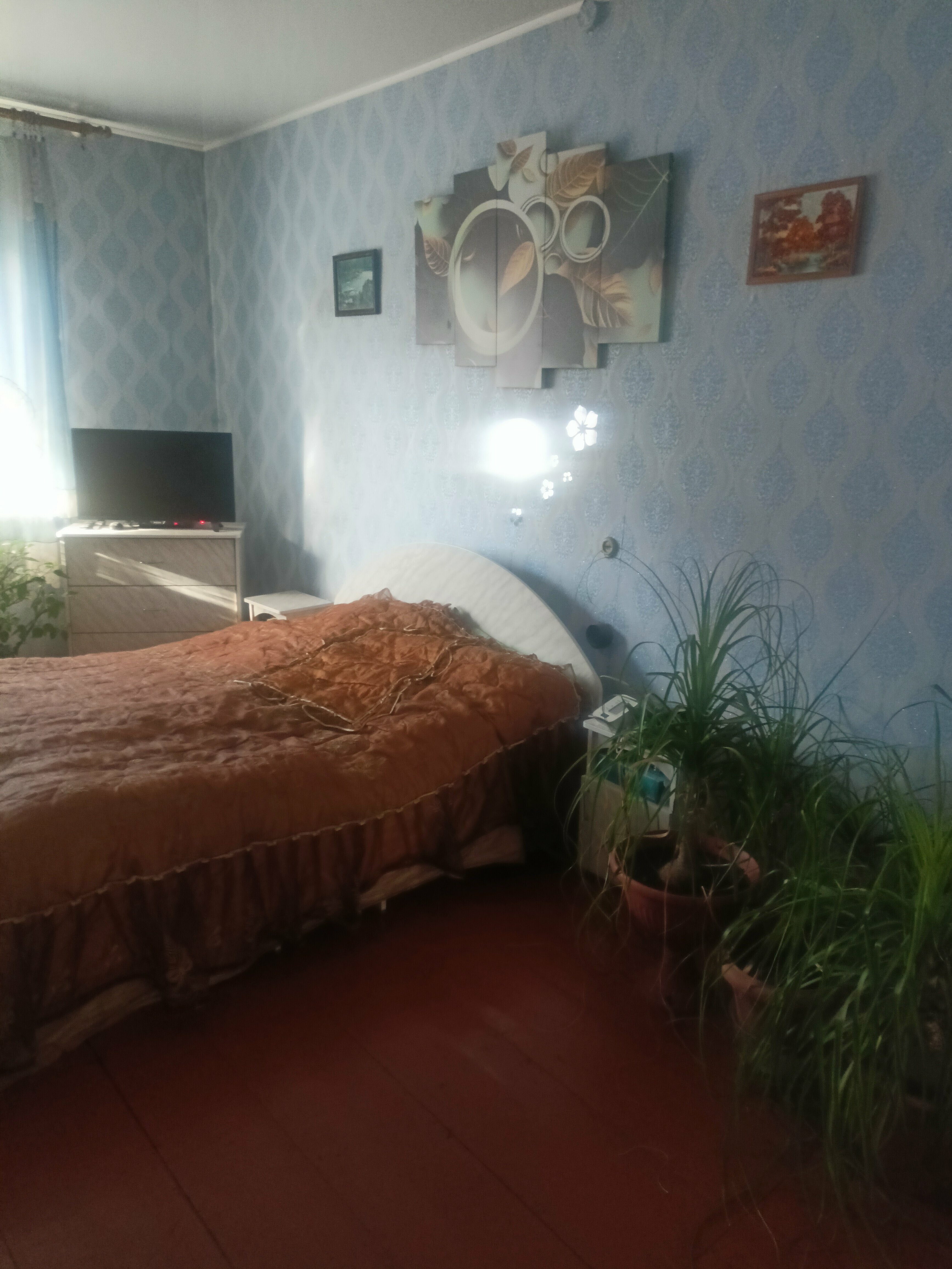 Одноместный номер с видом на сад