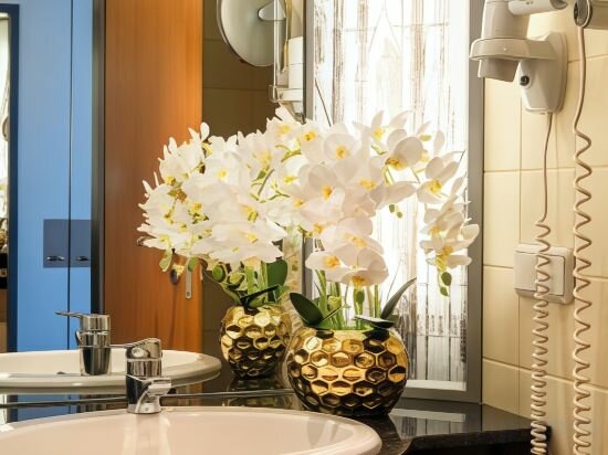 Premium Double Or Twin Room