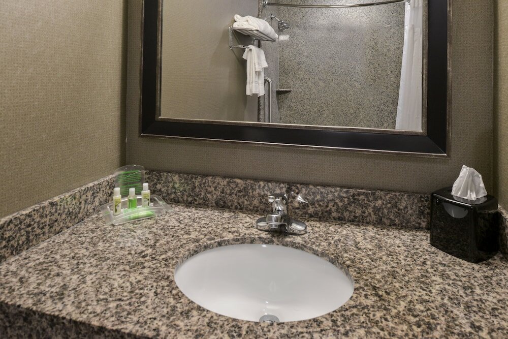 Suite, 1 King Bed, Accessible (Mobility, Roll-In Shower)