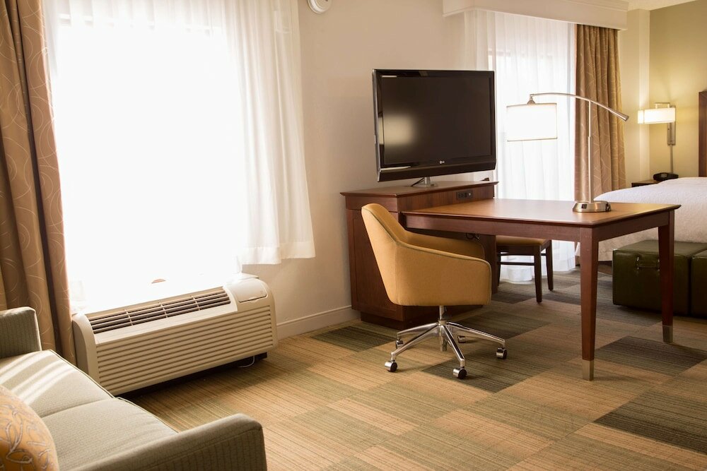Studio Suite, 1 King Bed with Sofa bed