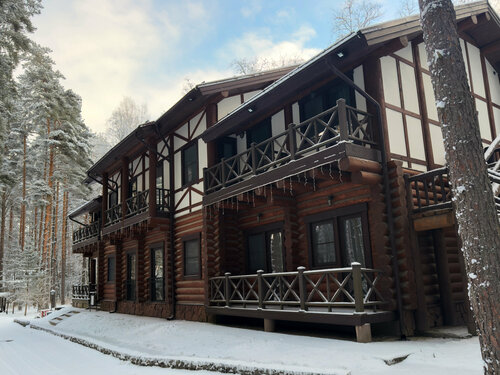 Богатырь в Дача