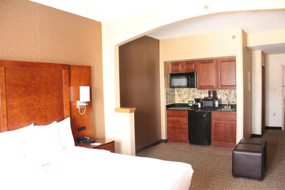 Suite, Non-Smoking, 1 King Bed with Sofa Bed, Kitchenette with Electric Cook Top