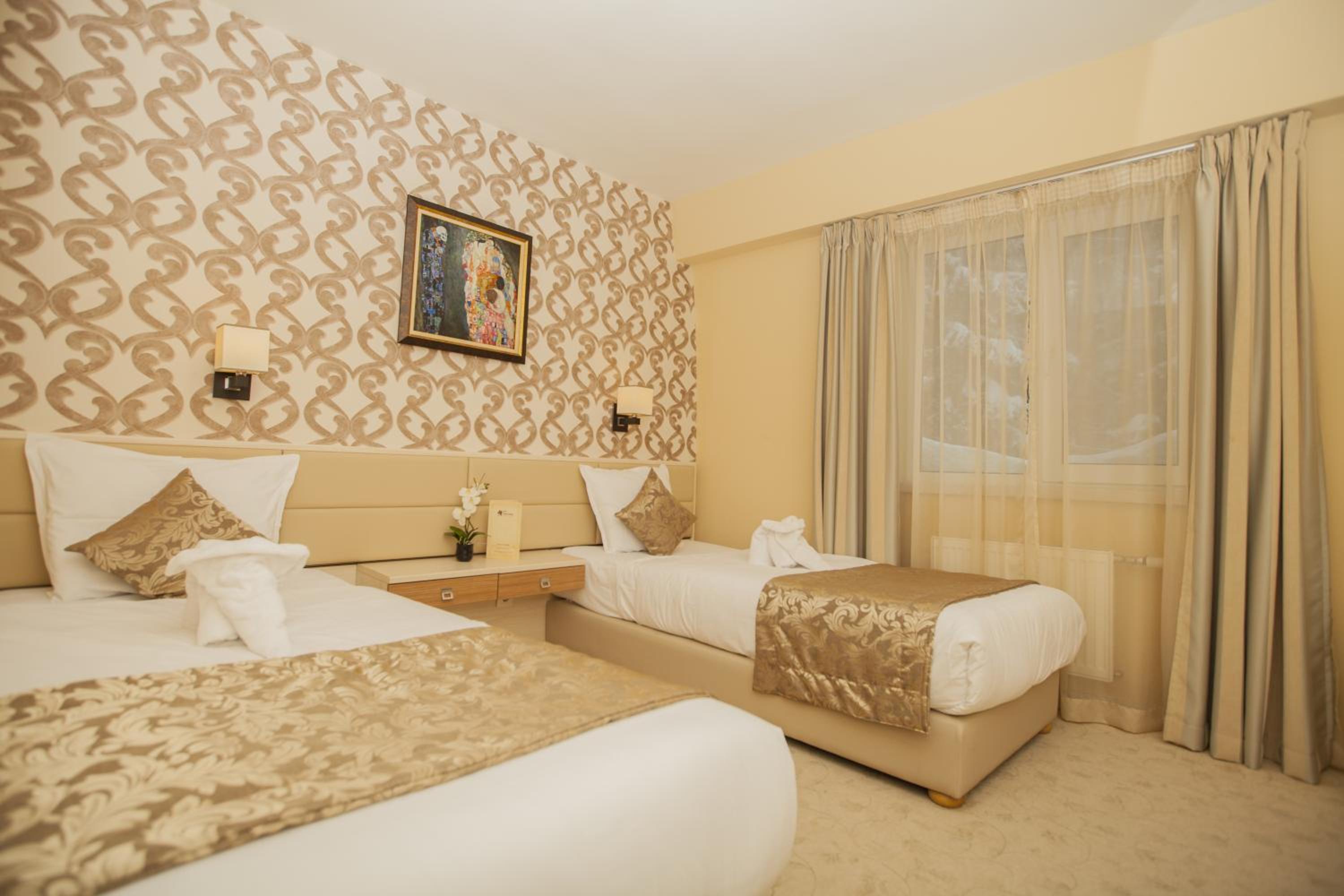 Double or Twin Room with Mountain View