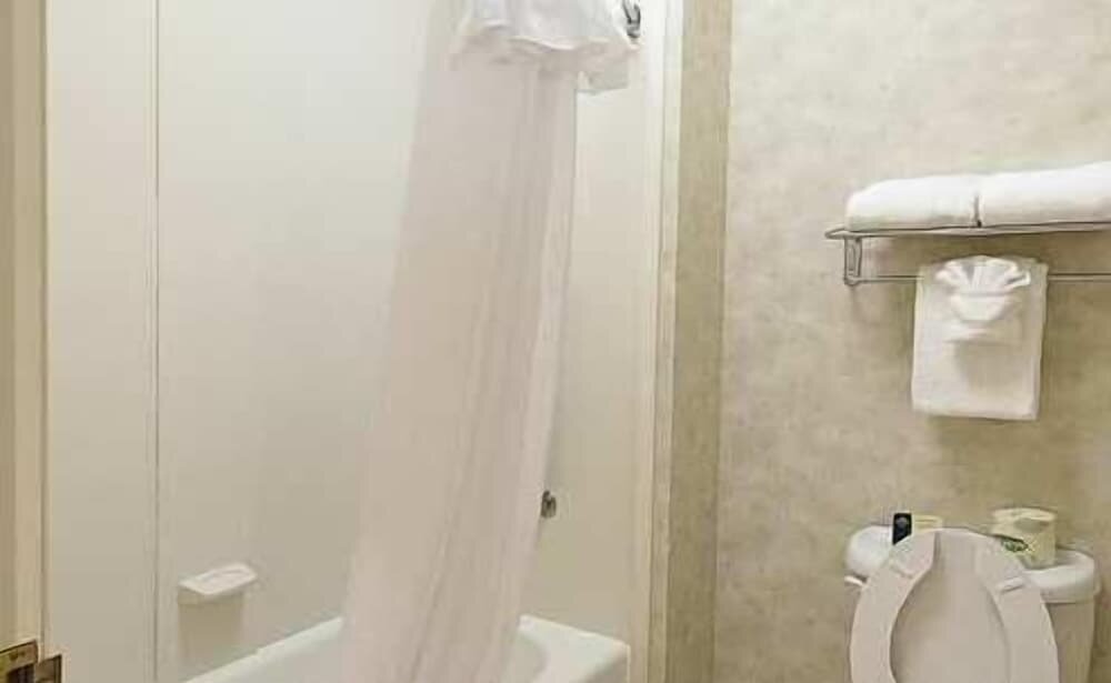 Suite, 1 Bedroom, Non Smoking (1 King Bed with Sofa Bed)