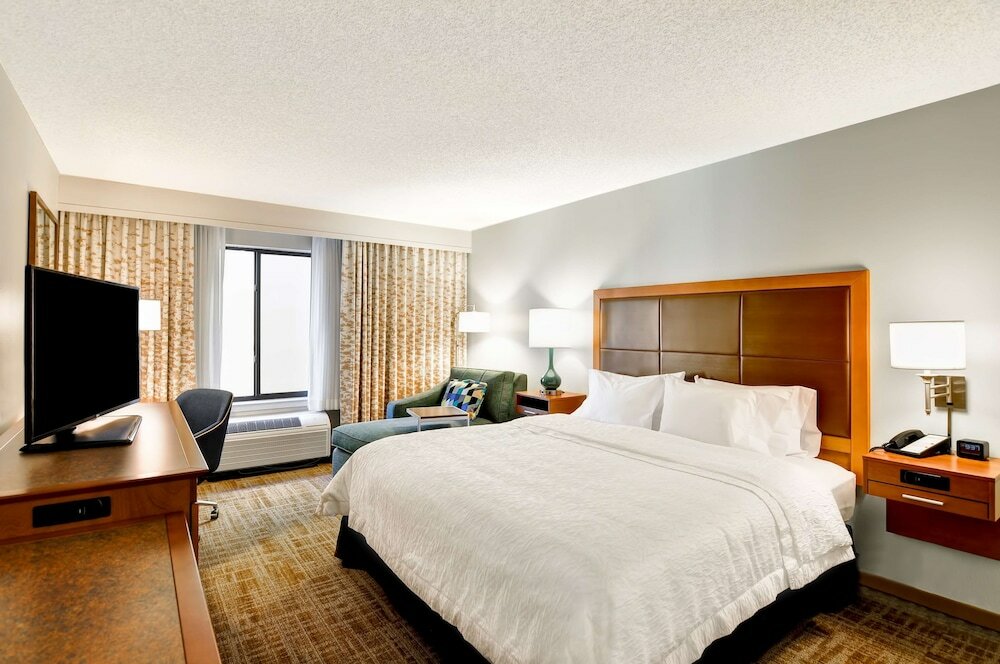 Room, 1 King Bed, Non Smoking (with Chaise Lounge)