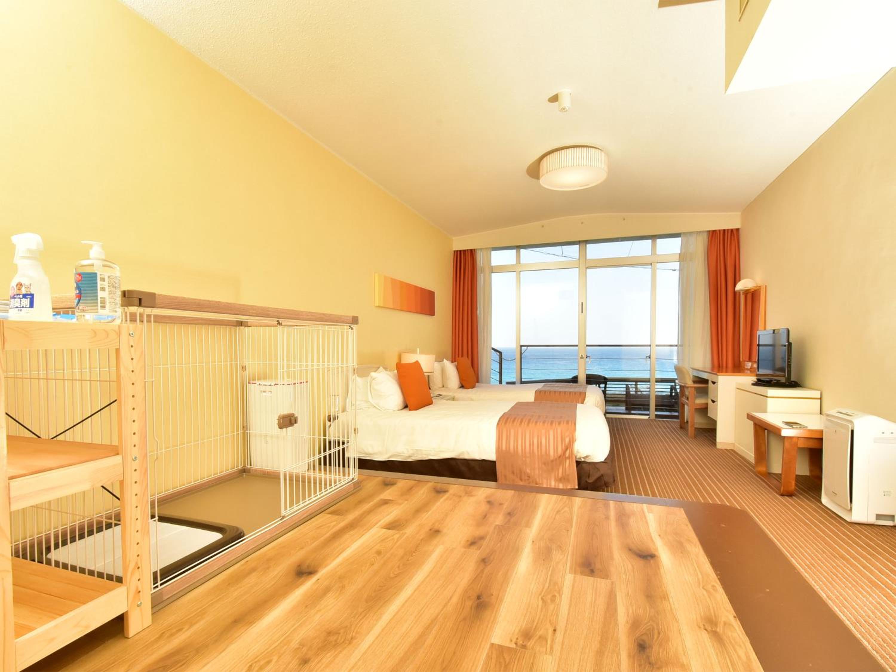 Twin Room with Terrace