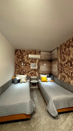 Двухместный номер с 1 кроватью или 2 отдельными кроватями в Дом учёных