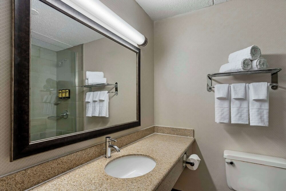 Suite, 1 King Bed, Non Smoking, Refrigerator & Microwave (With Sofabed)