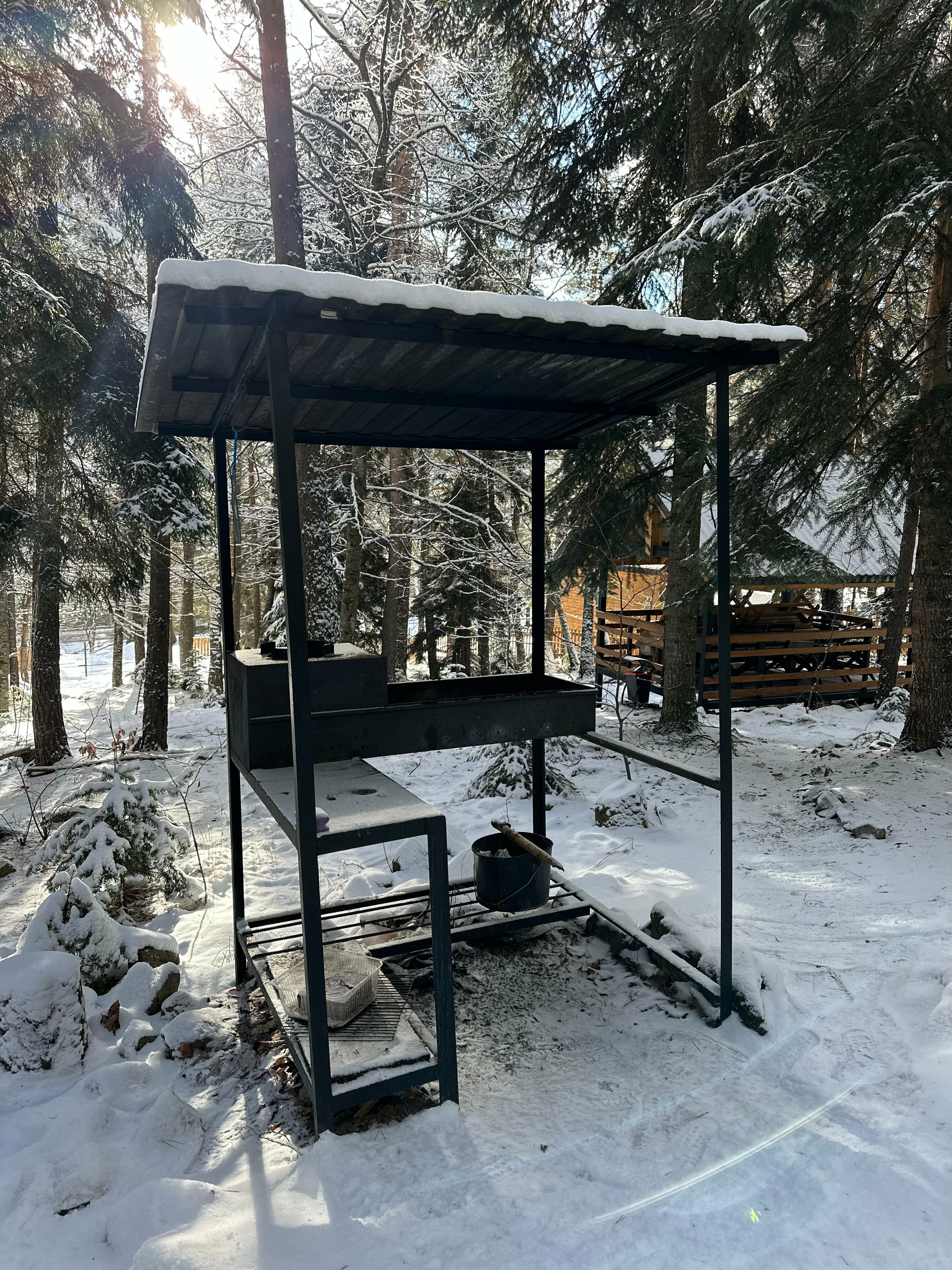 Барнхаус 3 с видом на хвойный лес и горы