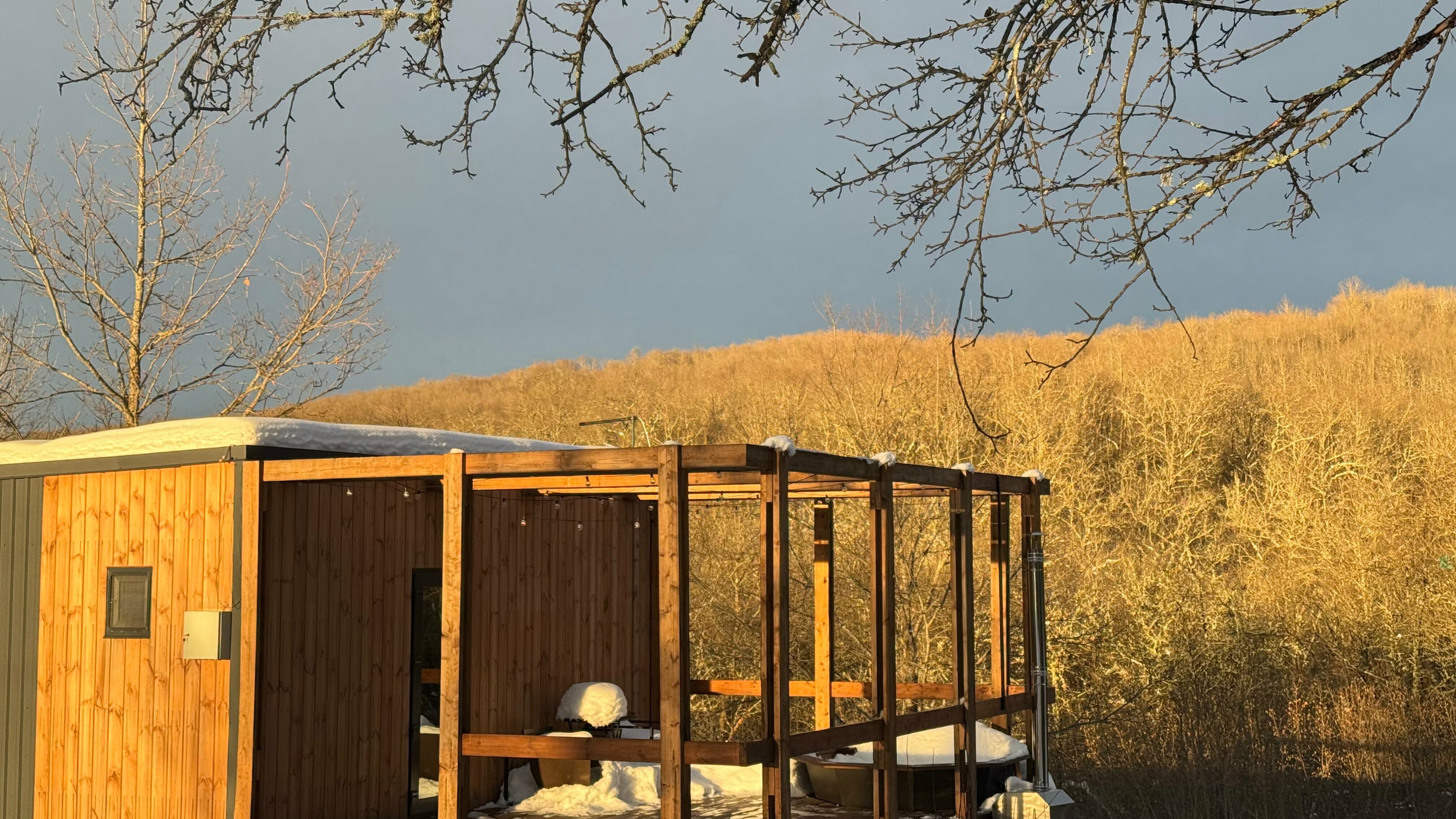 Домик с видом на лес