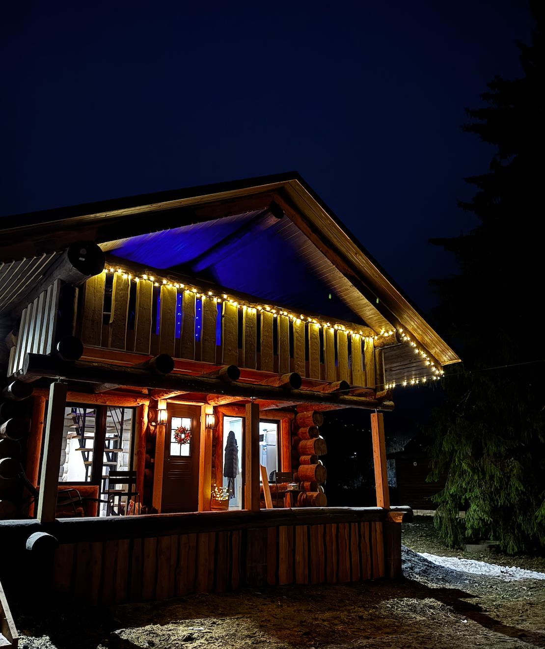 Дом с видом на лес