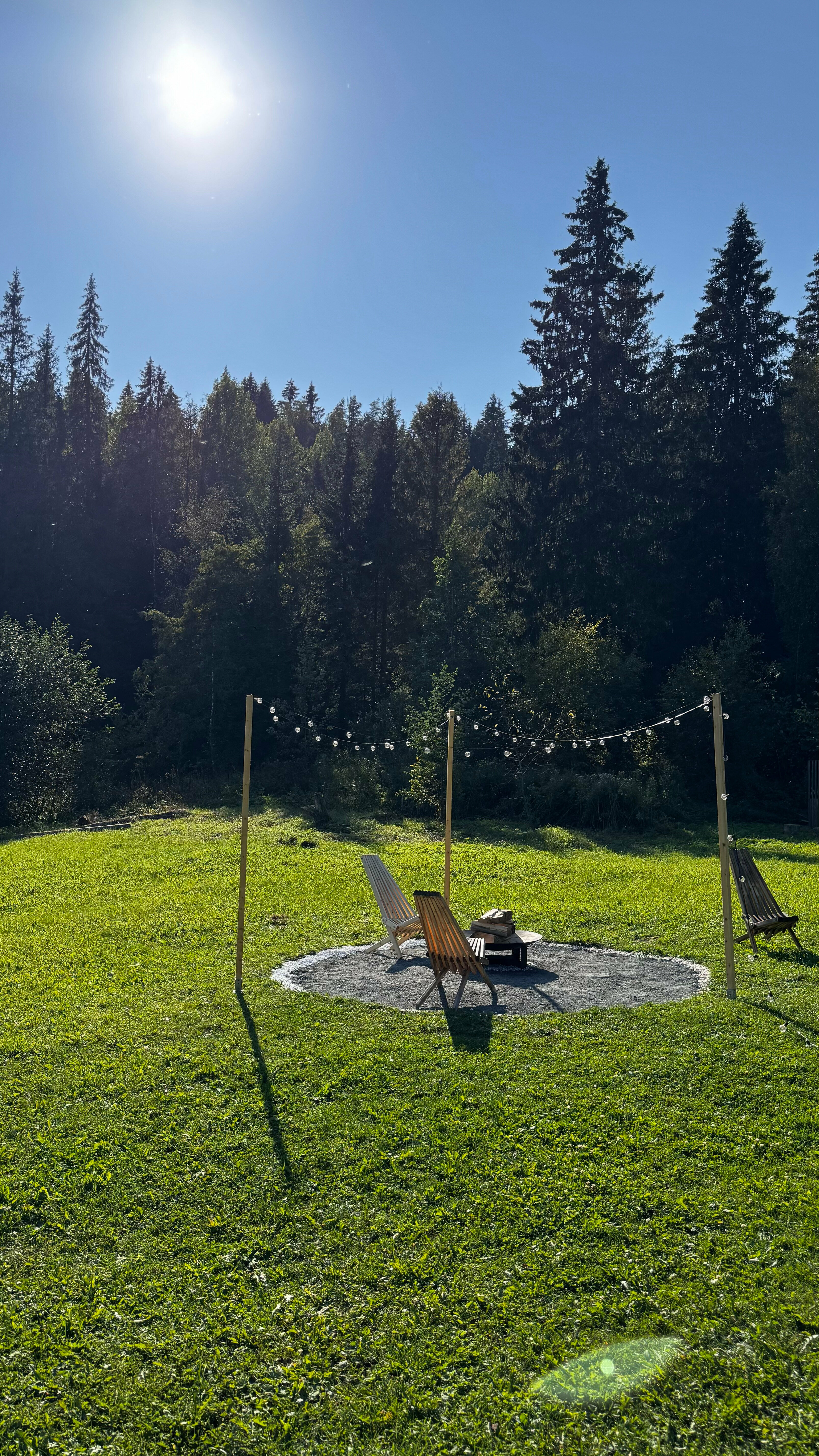 Дом с видом на лес